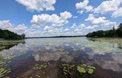 N16168 CTH B, Butternut, WI 54514