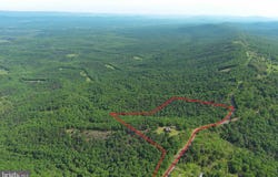 299 HARMISONS BLUFF POINT, FORT ASHBY, WV 26719