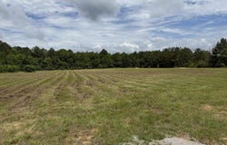 Hwy 12 E, Columbus, MS 39702