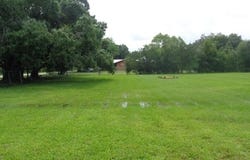 20 NW 115th Drive, Okeechobee, FL 34972