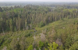Parcel B Cherry Creek Trail, Grayling, MI 49738