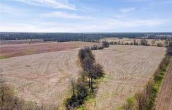 Iguana Road, Brookfield, MO 64628
