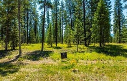Lt 3 Blk 1 WALLACE LANE, Blanchard, ID 83804
