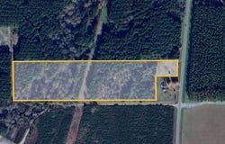 0 HWY 371, Ringgold, LA 71068