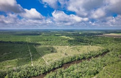 NE Hickory Grove Road, Pinetta, FL 32350