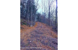 County Route 41, Cairo, NY 12413