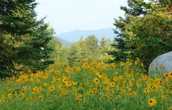 7 Whiteface Inn Lane, Lake Placid, NY 12946