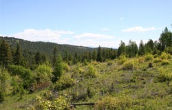 1450 Kienas Road, Kalispell, MT 59901
