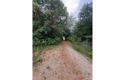 16.68+/- Acres Hwy 127 N, Albany, KY 42602