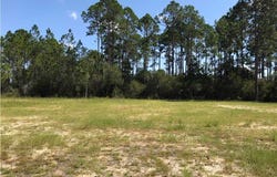 124 Pine St, Mexico Beach, FL 32456