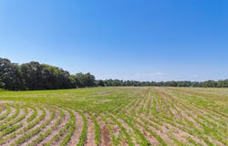 0 Joes Trail, Monetta, SC 29105