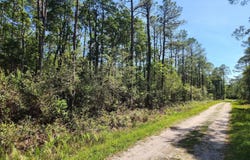 Lot 60 Drake Road, Boiling Spring Lakes, NC 28461