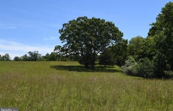 SLATE MILLS ROAD, SPERRYVILLE, VA 22740