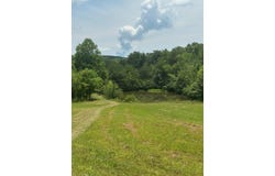 15 Mccabe Road, Spring City, TN 37381