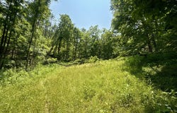 99/Ac Tbd Nw Of Copperhead Hollow Road, Mountain City, TN 37683