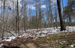 126 Indian Village Lane, Wilder, TN 38589