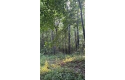 5565 Romeyn Woods, Middleville, MI 49333