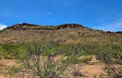 38.76 Acre N Bruno Road, Douglas, AZ 85607