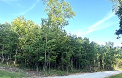 0 Salolee Circle, South Pittsburg, TN 37380