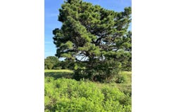 Tract 5 E1252 Road, Whitefield, OK 74462