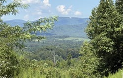 Off Bauguess Mill Road, Traphill, NC 28685