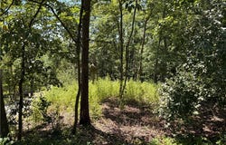 Comanche Trail lot: 1623, Malvern, OH 44644