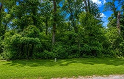 1981 Oak Grove Road, Jasper, TX 75951