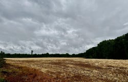 0 N Nc  11 Highway, Murfreesboro, NC 27855