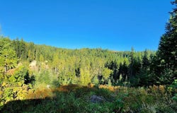 1530 Dusty Ln, St. Maries, ID 83861