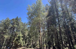 Alpine Lake Way Lot 3 Blk E, Angel Fire, NM 87710-0000