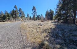 Longhorn Loop, Chiloquin, OR 97624