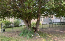 2113 Lincoln, Central Lake, MI 49622