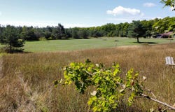 N Webb Rd, Hessel, MI 49745