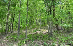 132 Ambers Drive, Jamestown, TN 38556