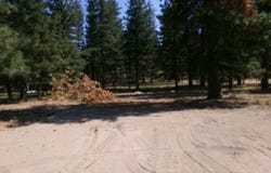 2319 HWY 97, Weed, CA 96094-9526