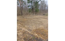 Wilson Road, Collins, NY 14034