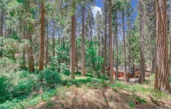 590 Electra Drive, Crestline, CA 92325