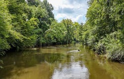 811 Belltown Road, Tellico Plains, TN 37385