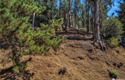 0 0 Ascot Drive, Oakland, CA 94611