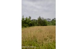 Ferguson Mill Road, Silver Creek, MS 39663