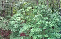 0 Highway 156, South Pittsburg, TN 37380