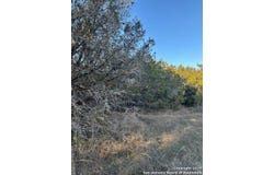 1145 OVERBROOK LN, Spring Branch, TX 78070
