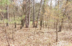 1026 York, Lake Isabella, MI 48893