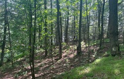 17197 PATTI Lane, TOWNSEND, WI 54175