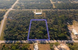 4815 Randolph Street, Hastings, FL 32145