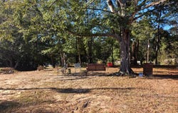 155 COUNTY RD 40, Eufaula, AL 36027