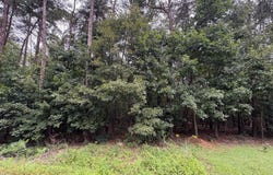 2319 VALENTINE DRIVE, BUMPASS, VA 23024