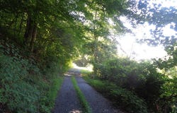 Coconut Dr, WAR, WV 24892