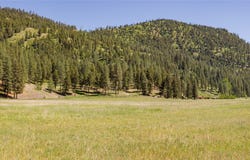 NHN Highway 10 E, Clinton, MT 59825