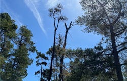 Kenneth Drive, Cambria, CA 93428
